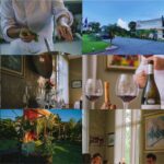 Carnaval de São José está de volta com blocos, festas e escola de samba