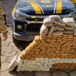 Semana do Meio Ambiente terá programação especial em São José