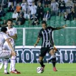 Floram promove evento em celebração ao Dia Internacional da Capivara