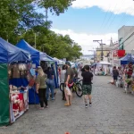Lagoa do Peri em Florianópolis é novo lar de filhotes de lontra