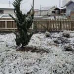Lançamento do livro “No chão da sala de aula” acontece nesta quinta (26) na Fundação Cultural BADESC, em Florianópolis