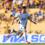 Ação conjunta PRF e PM apreende 3,7 toneladas de maconha no norte de SC