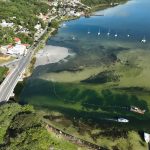 Guns N’ Roses em SC: show em São José terá 50% de desconto para celebrar o Dia dos Pais