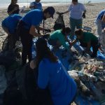 Feira de Vinil reúne raridades, discotecagem e Jazz em Florianópolis