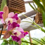 Bombeiros atendem ocorrência de resgate a embarcação na Ilha das Três Irmãs, em Florianópolis