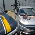 Verão terá temperaturas elevadas e chuvas irregulares em Santa Catarina