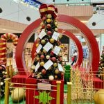 São José recebe feira de adoção de pets no sábado, 6 de dezembro