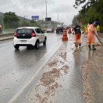 Confira a coluna e aproveite as dicas de lazer, arte, esporte, economia, natal e muito mais!