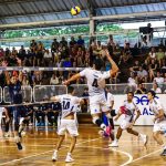 A Influência das Comunidades no Universo Digital