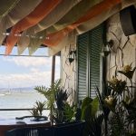 Confira as notinhas que a coluna trouxe para você desfrutar dicas incríveis!