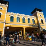 Polícia Civil conclui investigação sobre morte do Cão Orelha e maus-tratos ao Cão Caramelo e pede internação de adolescente