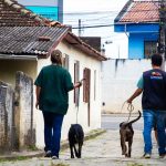 Procon Florianópolis identifica redução no preço da gasolina após notificar postos